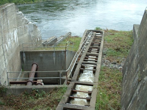 Water flowing through a sluiceway, grass and concrete surrounding.